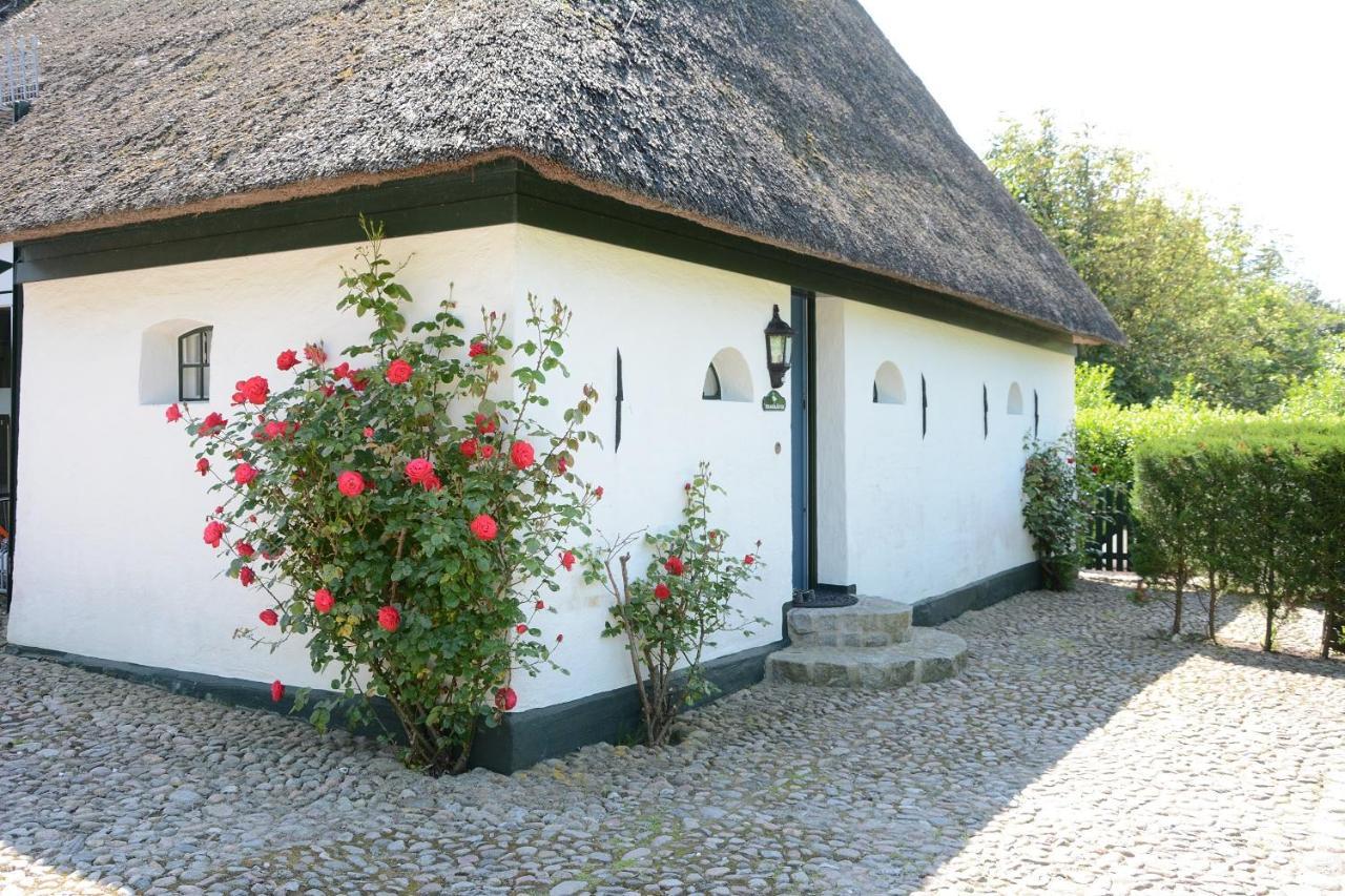 Villa Föhrienhaus Midlum  Exterior foto